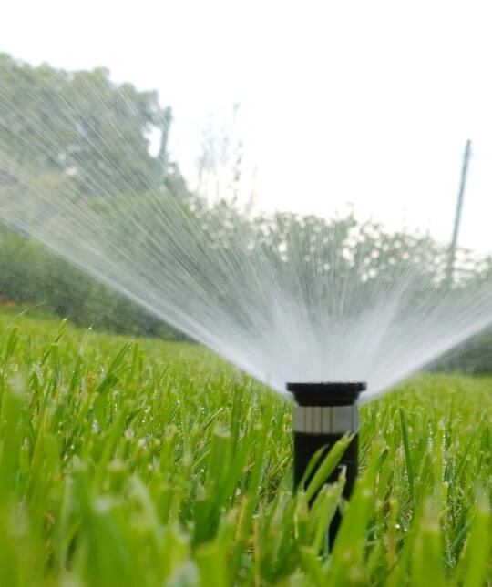 Irrigation sprinkle image