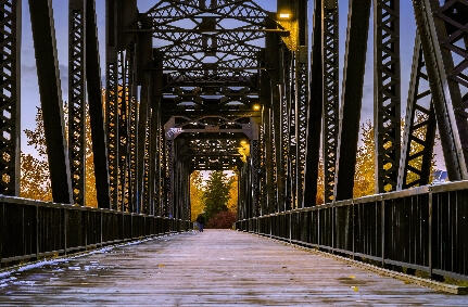 Red deer alberta bridge image